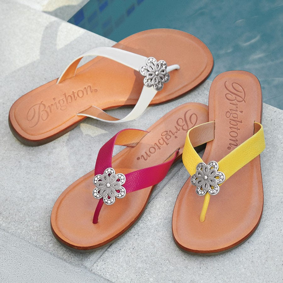 Aster Flower Thongs - Image 11
