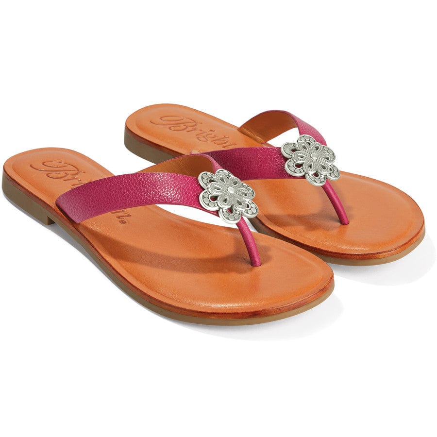 Aster Flower Thongs - Image 7