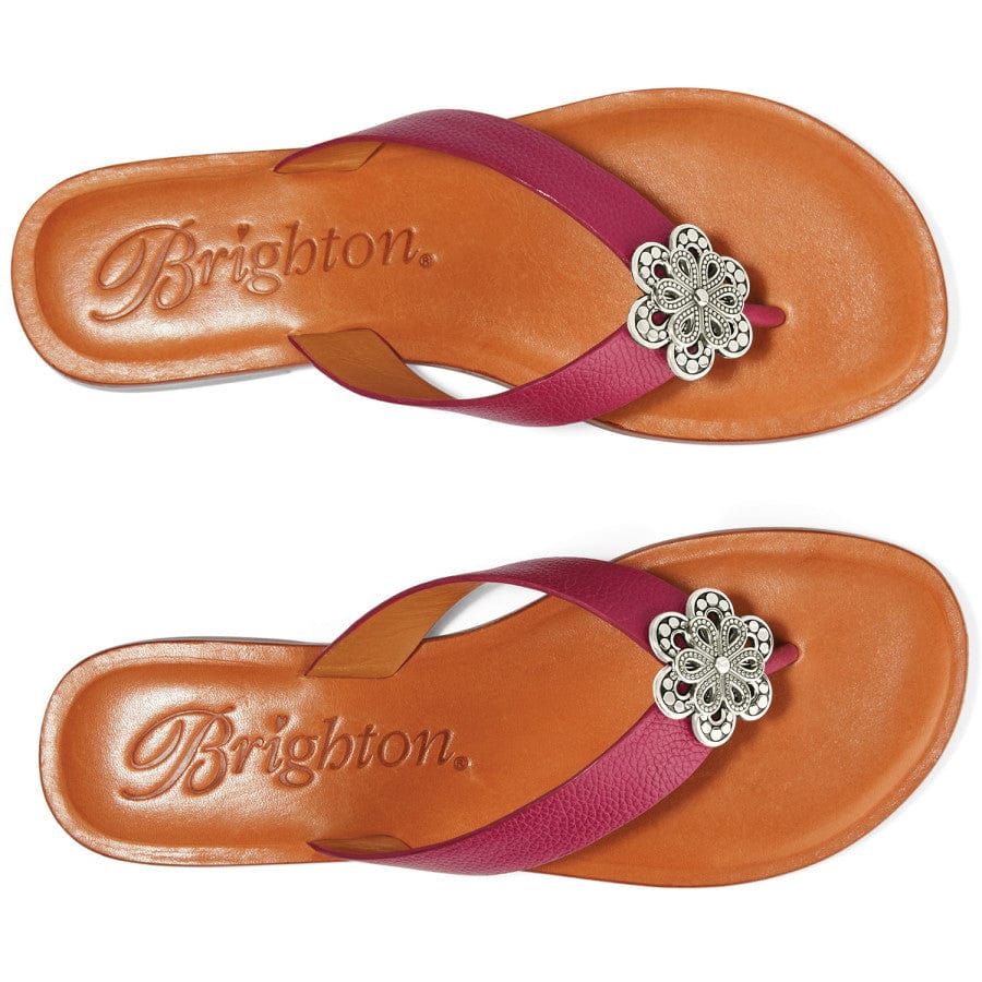 Aster Flower Thongs - Image 9