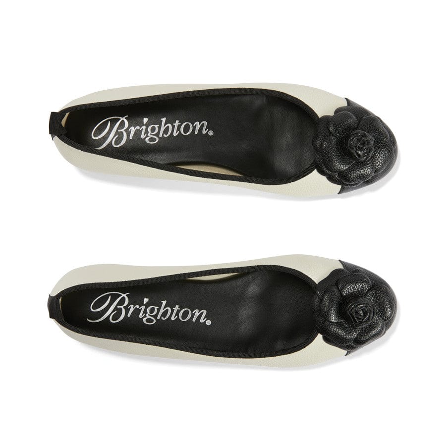 Belle Ballerinas - Image 3