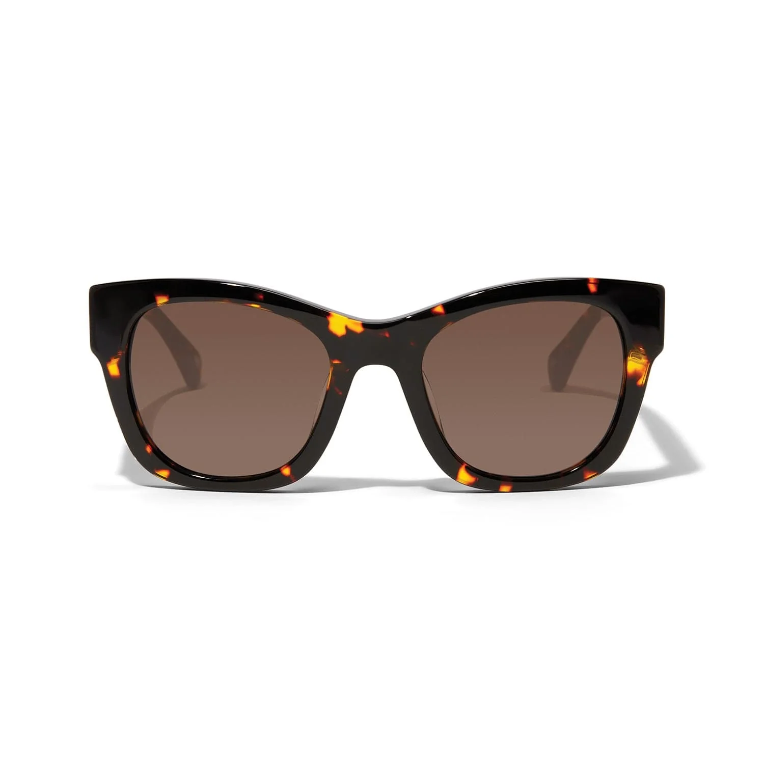Contempo Medallion Sunglasses - Image 3