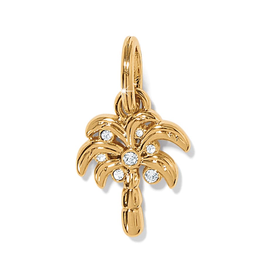 Desert Palm Charm - Image 4