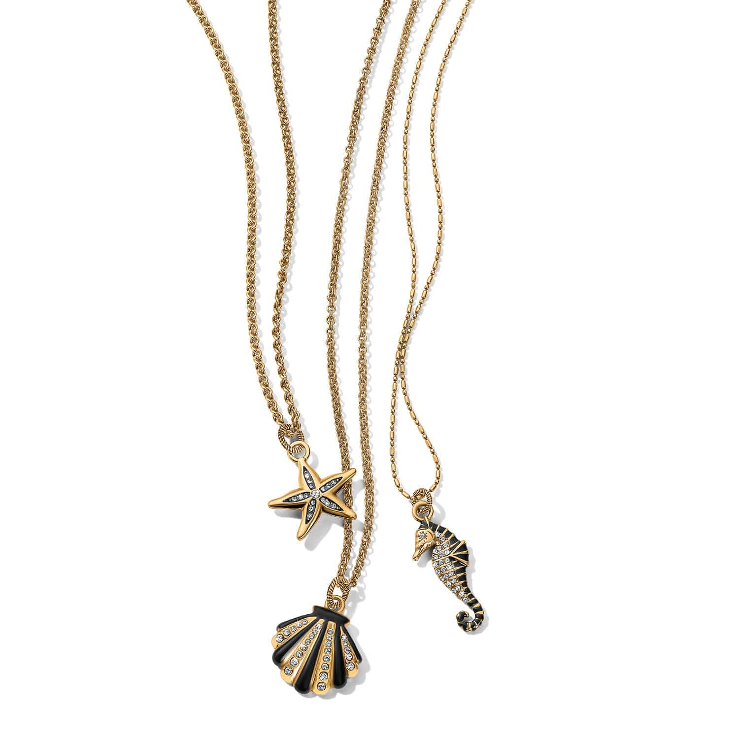 Twilight Waters Shell Necklace - Image 4